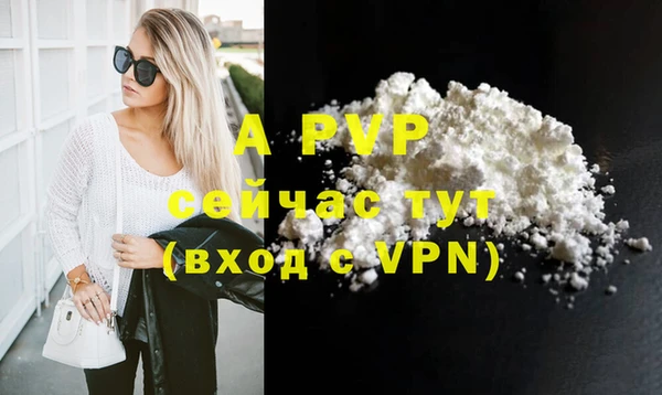 стафф Дмитровск