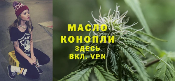 МДПВ Дмитриев