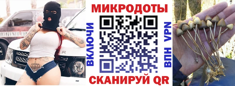 Галлюциногенные грибы GOLDEN TEACHER Купить где Ермолино